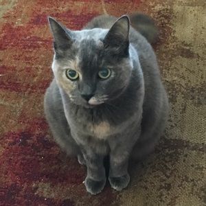 Meet your Posher, Lorena